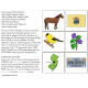 NEW JERSEY State Symbols ADAPTED BOOK for Special Education and Autism